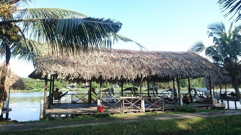 Tạp chí Du lịch Wanderlust Tips | Thư giãn cuối tuần ở khu dã ngoại Bằng Lăng Tím