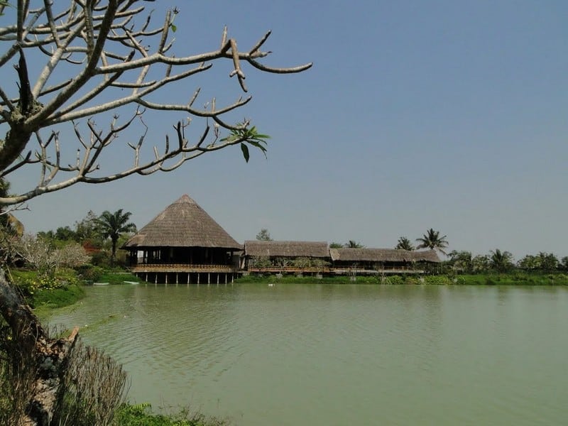 Tạp chí Du lịch Wanderlust Tips | Thư giãn cuối tuần ở khu dã ngoại Bằng Lăng Tím