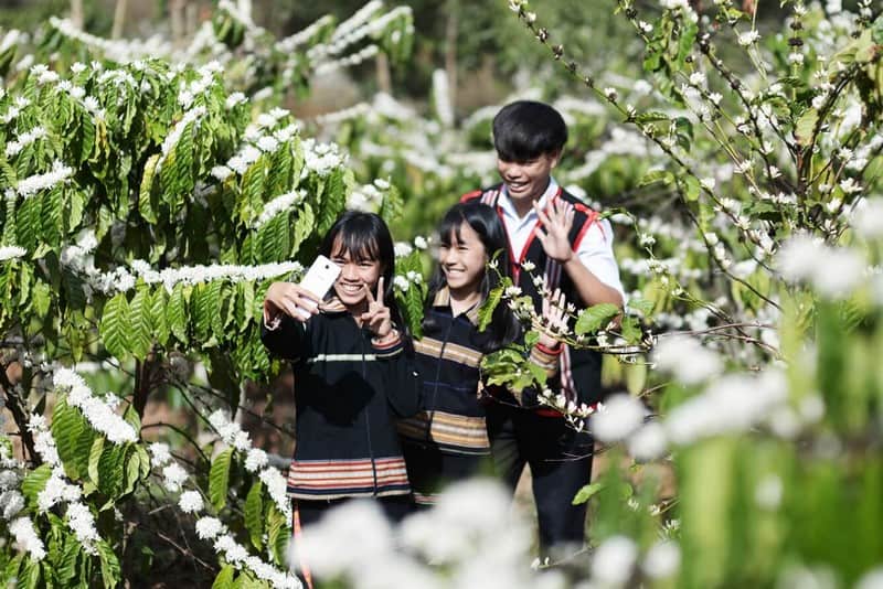 Tạp chí Du lịch Wanderlust Tips Thương nhớ mùa hoa cà phê phủ trắng núi đồi Tây Nguyên