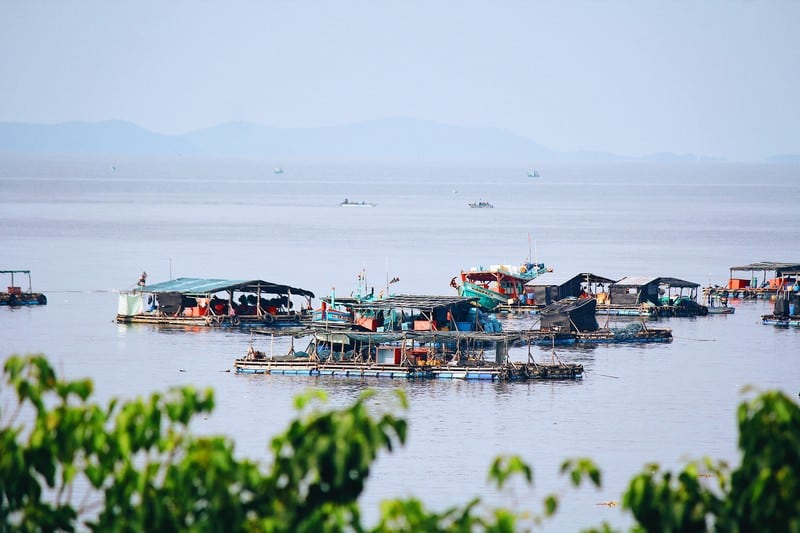 Về Hòn Sơn nghe sóng biển vỗ bờ để quên hết mỏi mệt 7 Tạp chí Du lịch Wanderlust Tips | Về Hòn Sơn nghe sóng biển vỗ về quên hết mỏi mệt