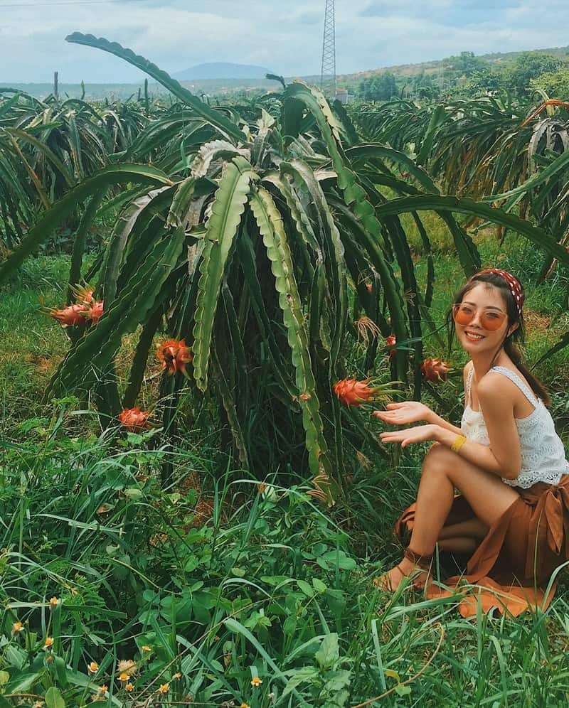 "Vương quốc thanh long" Phan Thiết đẹp ngỡ ngàng như tranh vẽ 7 Tạp chí Du lịch Wanderlust Tips | "Vương quốc thanh long" Phan Thiết đẹp ngỡ ngàng như tranh vẽ