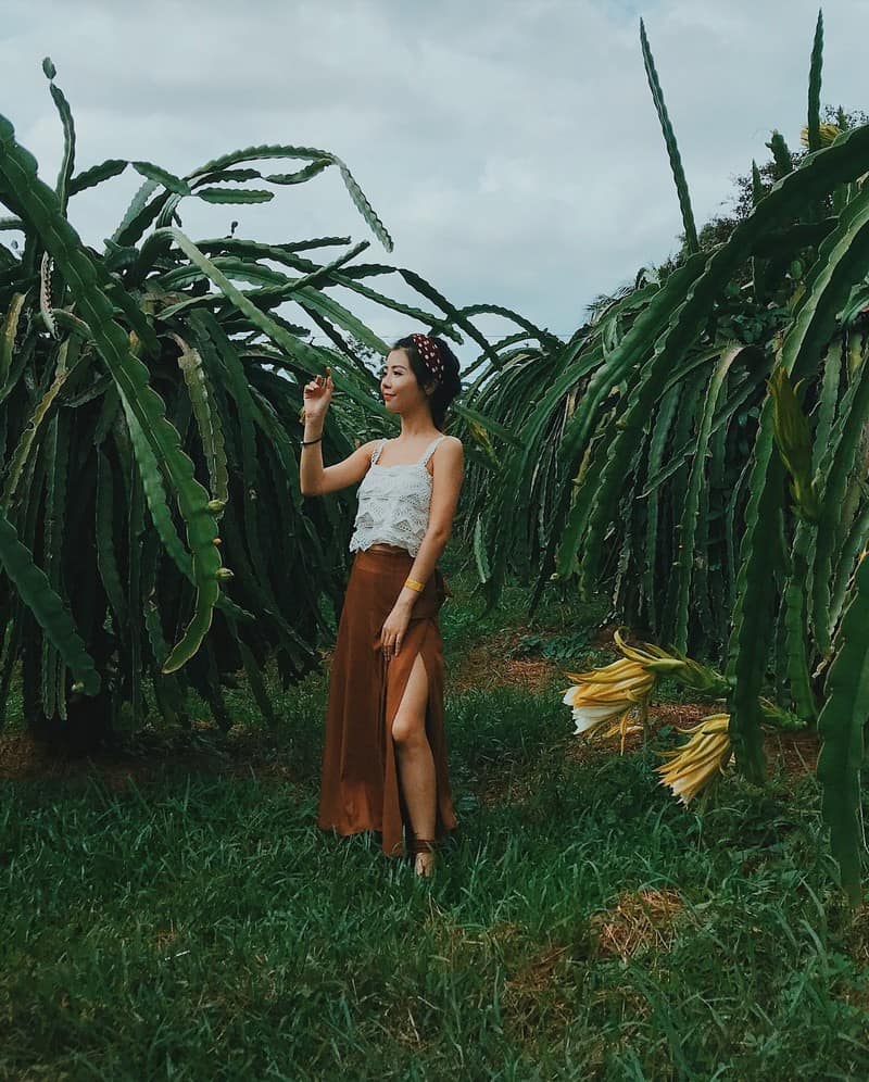 "Vương quốc thanh long" Phan Thiết đẹp ngỡ ngàng như tranh vẽ 11 Tạp chí Du lịch Wanderlust Tips | "Vương quốc thanh long" Phan Thiết đẹp ngỡ ngàng như tranh vẽ