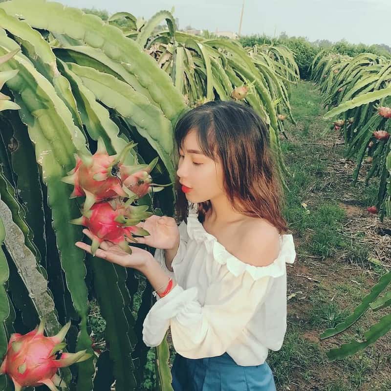 "Vương quốc thanh long" Phan Thiết đẹp ngỡ ngàng như tranh vẽ 10 Tạp chí Du lịch Wanderlust Tips | "Vương quốc thanh long" Phan Thiết đẹp ngỡ ngàng như tranh vẽ