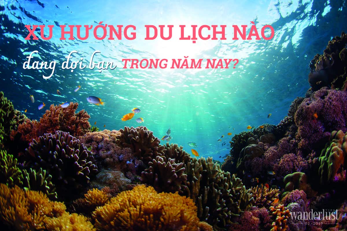 Tạp chí Du lịch Wanderlust Tips Xu hướng du lịch nào đang đợi bạn trong năm nay?