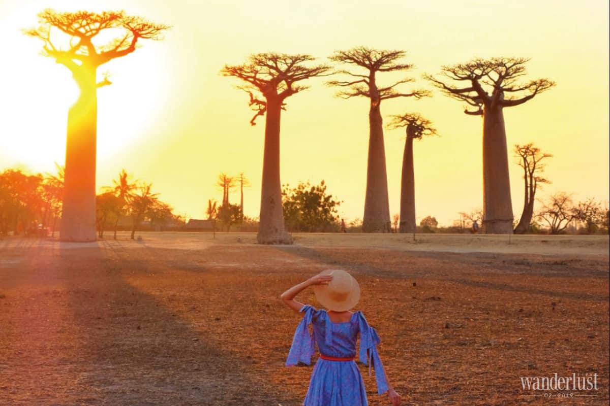 Chạm tới giấc mơ Bao Báp 9 Tạp chí Du lịch Wanderlust Tips Chạm tới giấc mơ Bao Báp - điểm đến