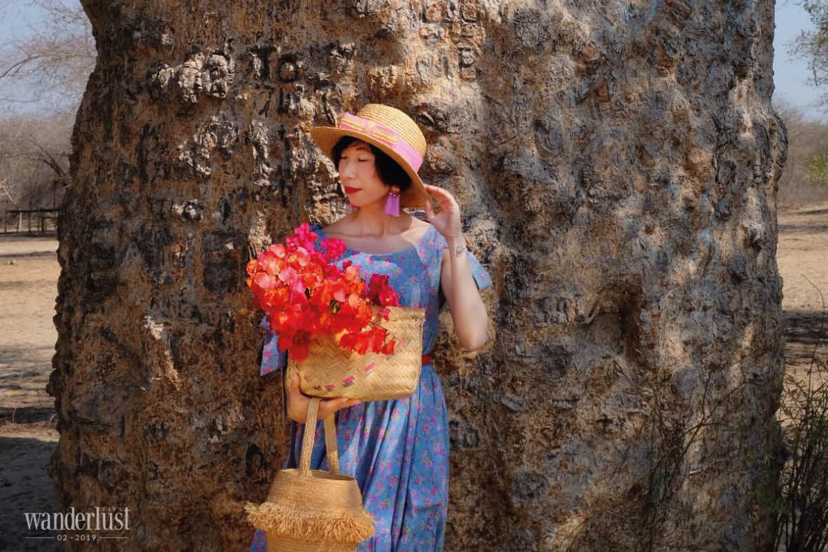 Tạp chí Du lịch Wanderlust Tips Chạm tới giấc mơ Bao Báp - điểm đến