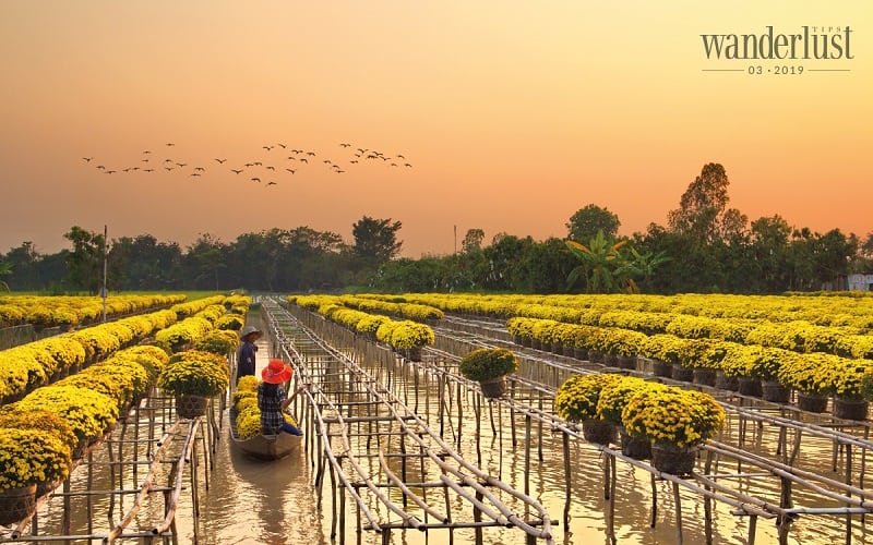 Đồng Tháp, nơi làng hoa Sa Đéc rực rỡ và lòng người thơm ngát