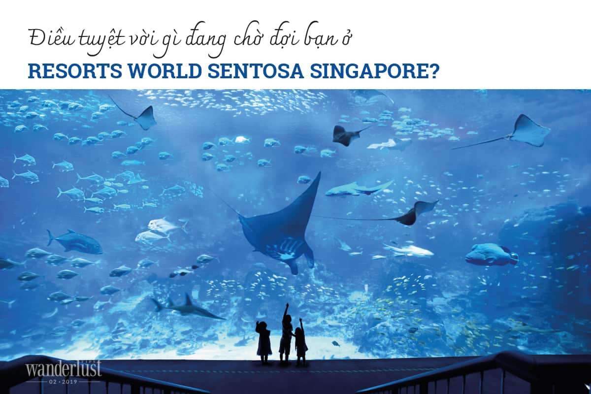 Tạp chí Du lịch Wanderlust Tips Điều tuyệt vời gì đang chờ đợi bạn ở Resorts World Sentosa Singapore?