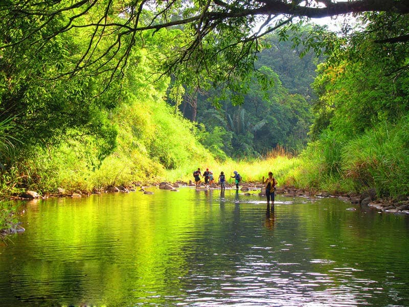 Tạp chí Du lịch Wanderlust Tips | Khám phá vườn Quốc gia Bù Gia Mập tươi xanh 