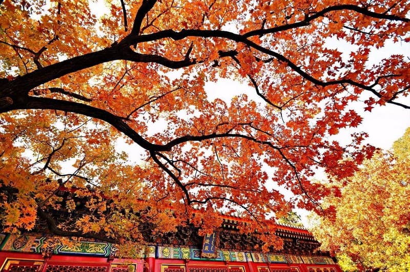 Tạp chí Du lịch Wanderlust Tips Bí quyết để có chuyến du lịch Bắc Kinh vẹn tròn ý nghĩa