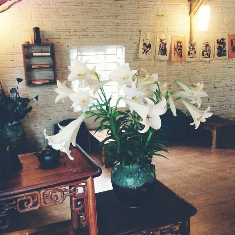 Tạp chí Du lịch Wanderlust Tips | Dạo quanh Hà Nội, tìm bình yên bên những tách trà ngon