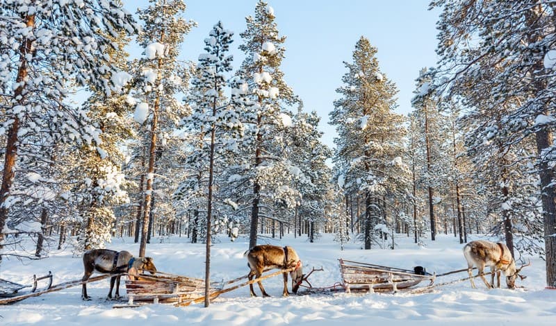 Tạp chí Du lịch Wanderlust Tips Bỏ túi những kinh nghiệm du lịch Phần Lan