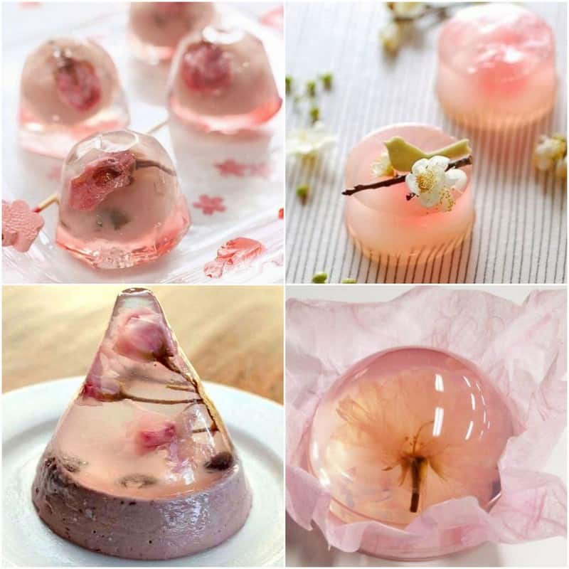 Tạp chí Du lịch Wanderlust Tips | Bữa tiệc ẩm thực đầy quyến rũ từ hoa anh đào Nhật Bản 