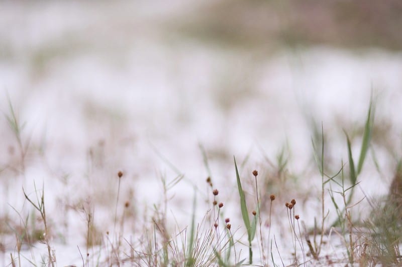 Tạp chí Du lịch Wanderlust Tips | Du lịch Quan Lạn cuối tuần lãng mạn bên người yêu