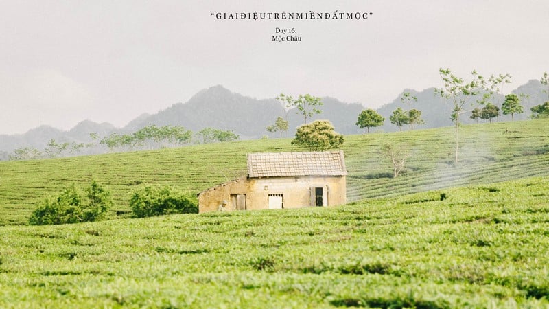 Giai điệu trên miền đất Mộc... 11 Tạp chí Du lịch Wanderlust Tips | Giai điệu trên miền đất Mộc Châu