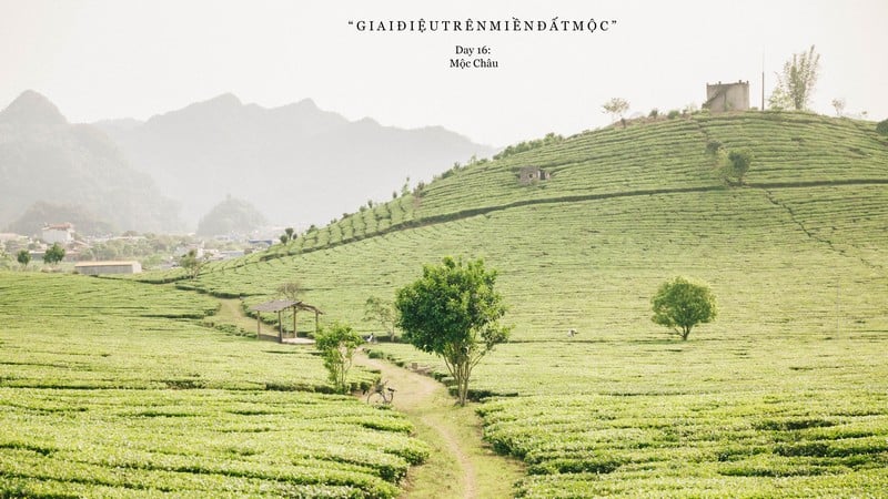 Giai điệu trên miền đất Mộc... 7 Tạp chí Du lịch Wanderlust Tips | Giai điệu trên miền đất Mộc Châu