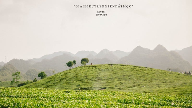 Tạp chí Du lịch Wanderlust Tips | Giai điệu trên miền đất Mộc Châu