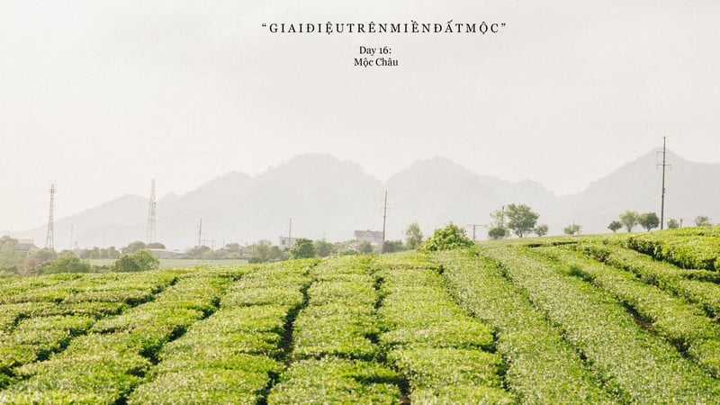 Giai điệu trên miền đất Mộc... 6 Tạp chí Du lịch Wanderlust Tips | Giai điệu trên miền đất Mộc Châu