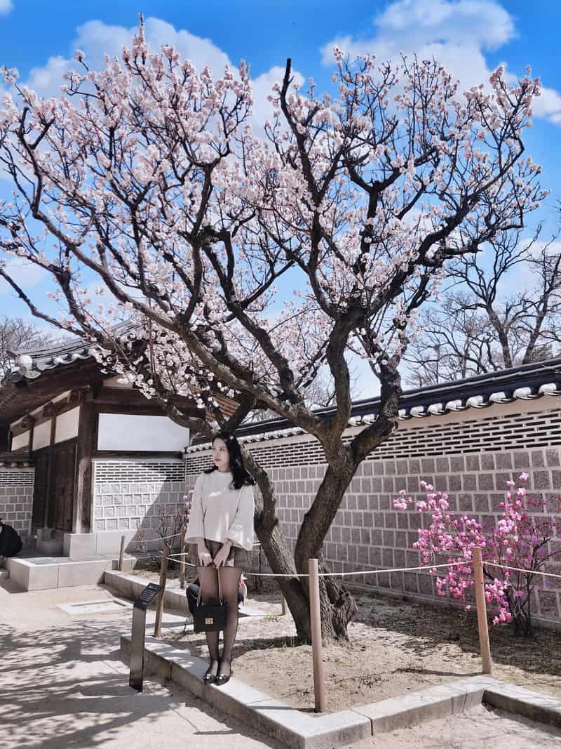 Hàn Quốc thơ mộng trong chuyến đi đầu tiên của cô gái xứ Nghệ 13 Tạp chí Du lịch Wanderlust Tips | Hàn Quốc thơ mộng trong chuyến đi đầu tiên của cô gái xứ Nghệ