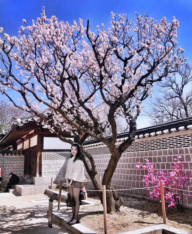 Hàn Quốc thơ mộng trong chuyến đi đầu tiên của cô gái xứ Nghệ 7 Wanderlust Tips han quoc tho mong trong chuyen di dau tien cua co gai xu nghe 7