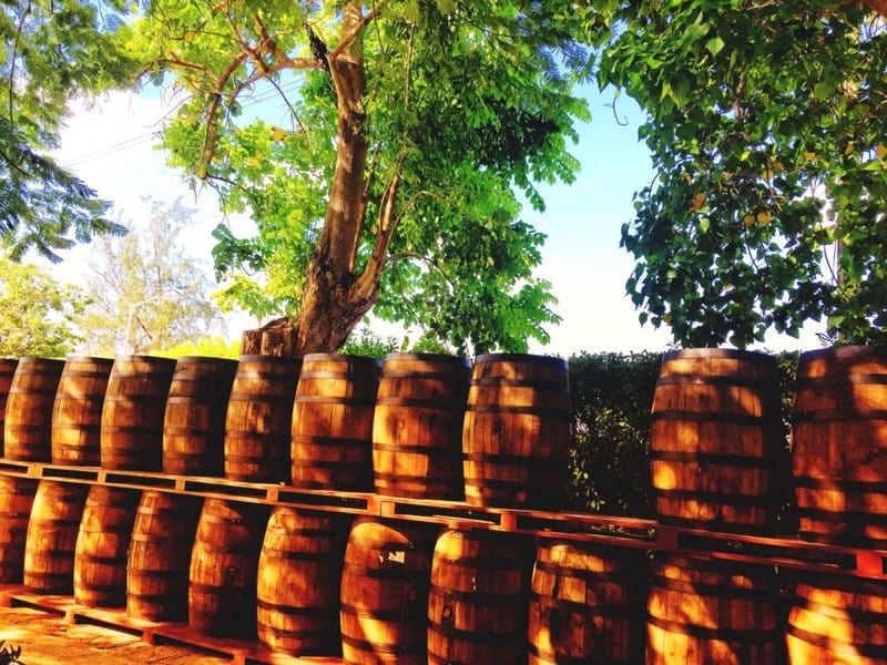 Tận hưởng mùa hè thiên đường khi du lịch Barbados 16 Tạp chí Du lịch Wanderlust Tips Tận hưởng mùa hè thiên đường khi du lịch Barbados