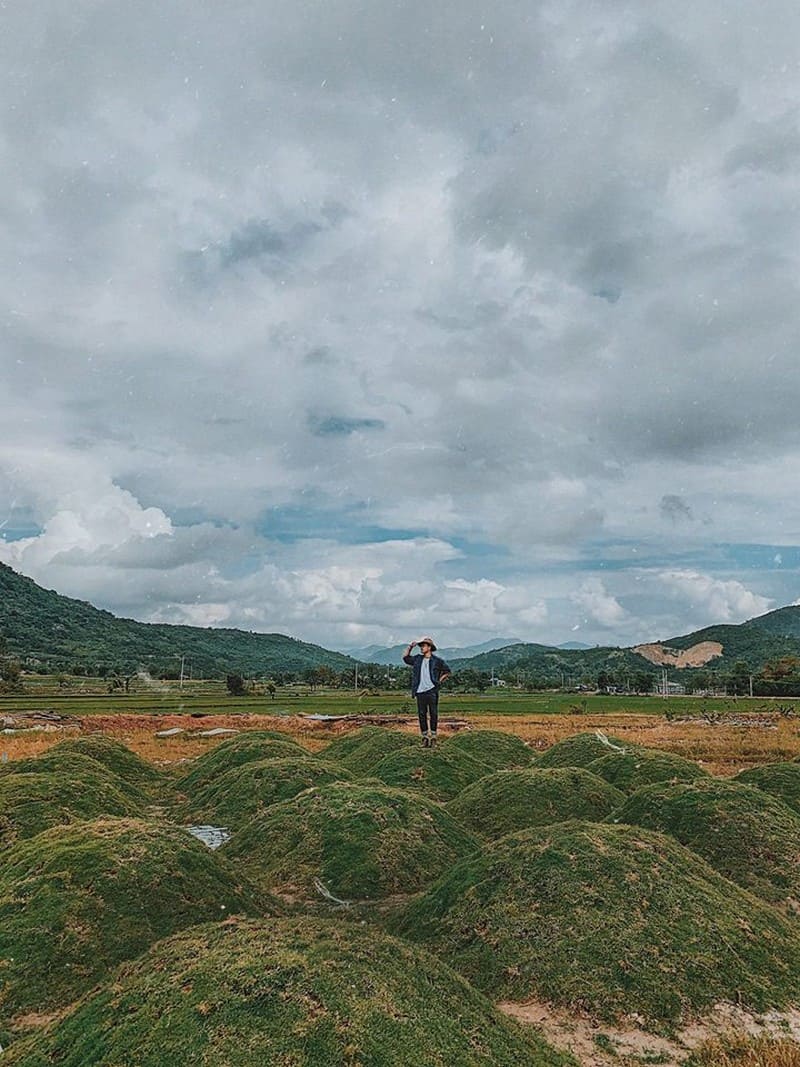 Tạp chí Du lịch Wanderlust Tips | Theo chân chàng trai Nha Trang về miền du mục độc nhất Việt Nam Phan Rang