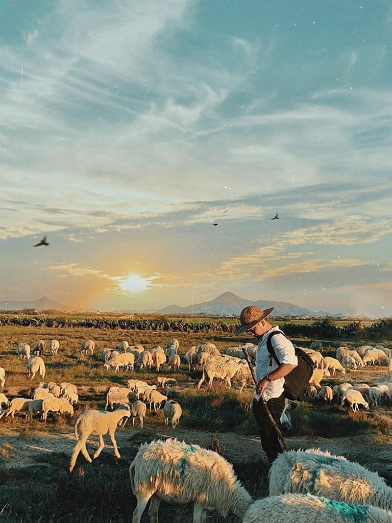 Tạp chí Du lịch Wanderlust Tips | Theo chân chàng trai Nha Trang về miền du mục độc nhất Việt Nam Phan Rang