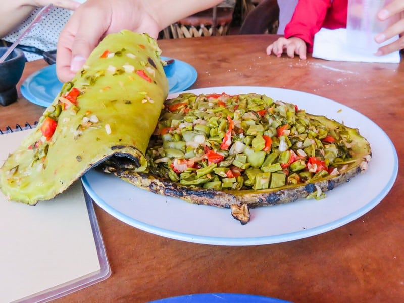 Xương rồng: Đặc sản độc đáo của người Mexico 8 Tạp chí Du lịch Wanderlust Tips Xương rồng: Đặc sản độc đáo của người Mexico