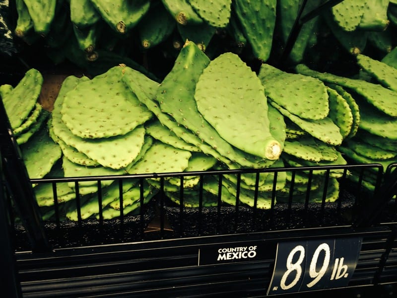 Xương rồng: Đặc sản độc đáo của người Mexico 6 Mexico: Producing clean energy from cactus