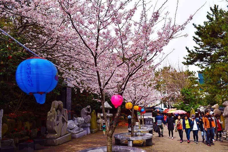 Tạp chí Du lịch Wanderlust Tips | Ghé thăm ngôi chùa cổ độc đáo ven bờ biển tại Hàn Quốc