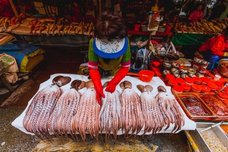 Tạp chí Du lịch Wanderlust Tips | Khám phá khu chợ hải sản lớn nhất Hàn Quốc