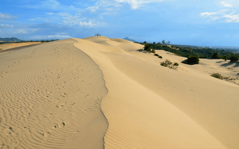 Tạp chí Du lịch Wanderlust Tips | Khám phá những đồi cát đẹp mê hồn tại Việt Nam