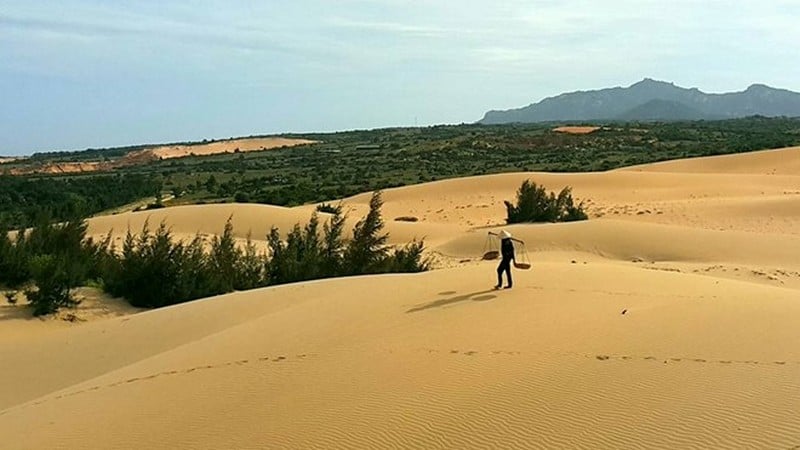 Khám phá những đồi cát đẹp mê hồn tại Việt Nam 11 Tạp chí Du lịch Wanderlust Tips | Khám phá những đồi cát đẹp mê hồn tại Việt Nam