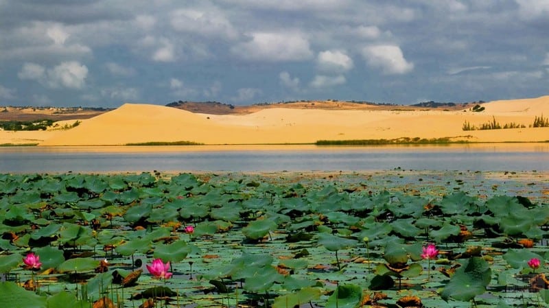 Khám phá những đồi cát đẹp mê hồn tại Việt Nam 8 Tạp chí Du lịch Wanderlust Tips | Khám phá những đồi cát đẹp mê hồn tại Việt Nam