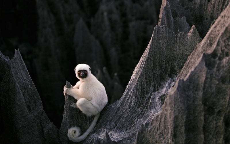 Tạp chí Du lịch Wanderlust Tips | Lạc vào vùng đất nguy hiểm nhất hành tinh tại Madagascar