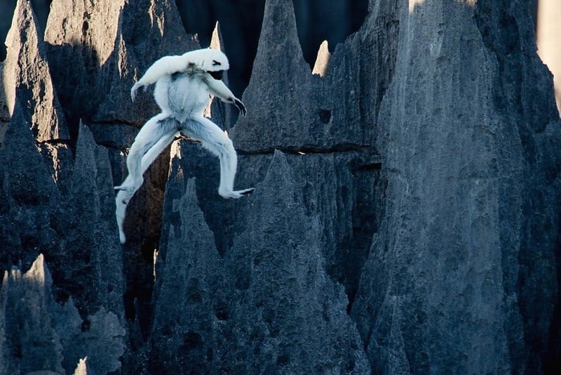 Lạc vào vùng đất nguy hiểm nhất hành tinh tại Madagascar 10 Tạp chí Du lịch Wanderlust Tips | Lạc vào vùng đất nguy hiểm nhất hành tinh tại Madagascar