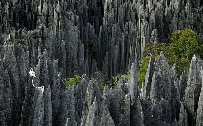 Lạc vào vùng đất nguy hiểm nhất hành tinh tại Madagascar 7 Tạp chí Du lịch Wanderlust Tips | Lạc vào vùng đất nguy hiểm nhất hành tinh tại Madagascar