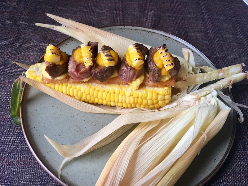 wanderlust tips salmonoid se hoan toan thay doi cam nhan cua ban ve ca hoi 10