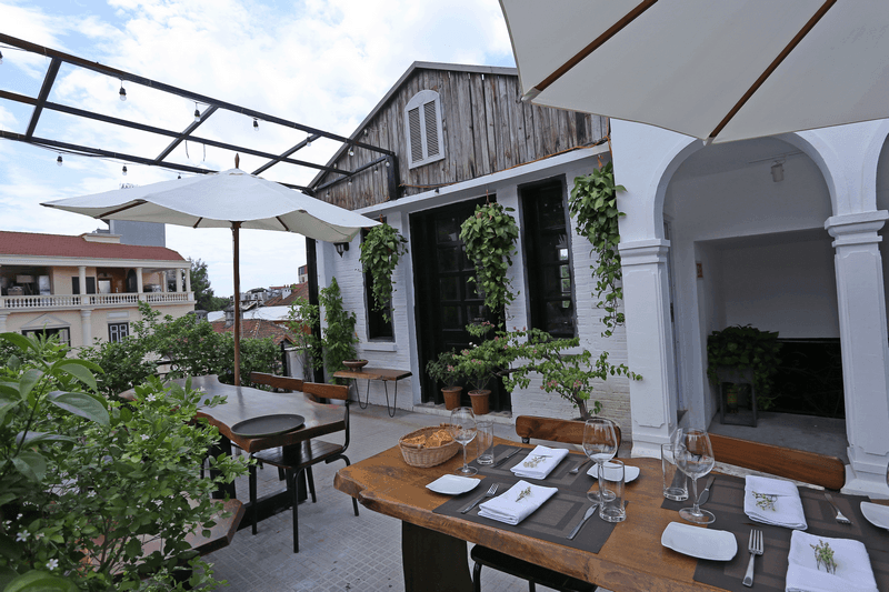 wanderlust tips salmonoid se hoan toan thay doi cam nhan cua ban ve ca hoi 15
