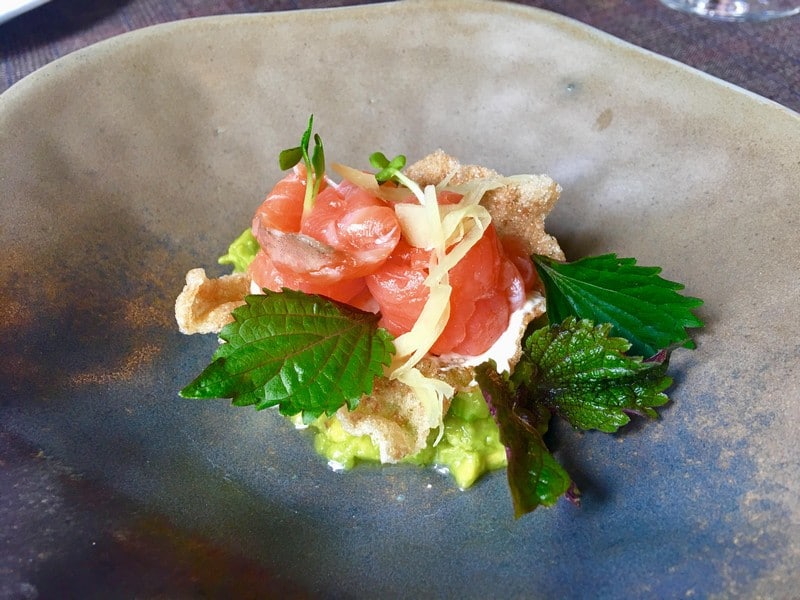 wanderlust tips salmonoid se hoan toan thay doi cam nhan cua ban ve ca hoi 20