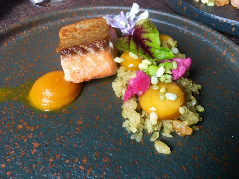 wanderlust tips salmonoid se hoan toan thay doi cam nhan cua ban ve ca hoi 21