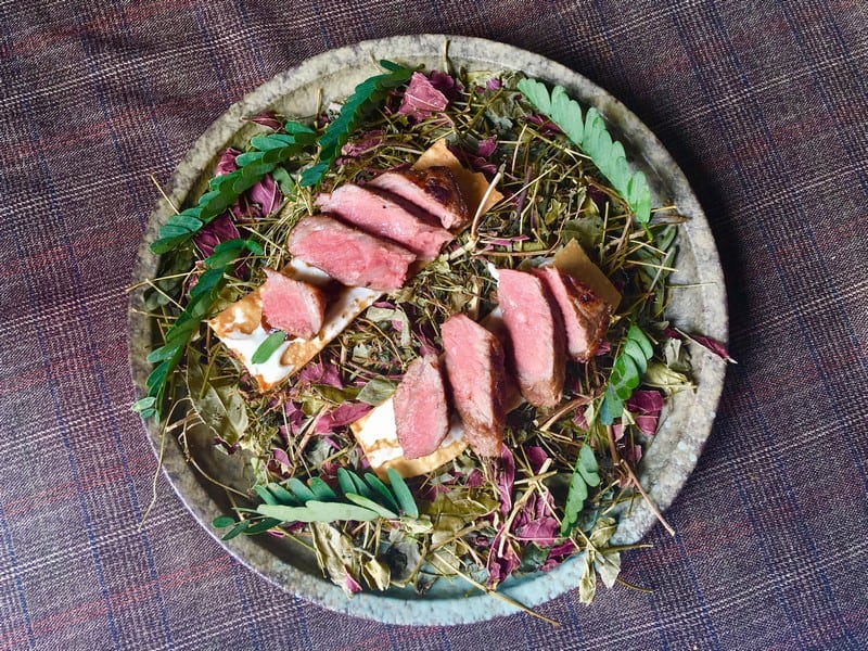 wanderlust tips salmonoid se hoan toan thay doi cam nhan cua ban ve ca hoi 23