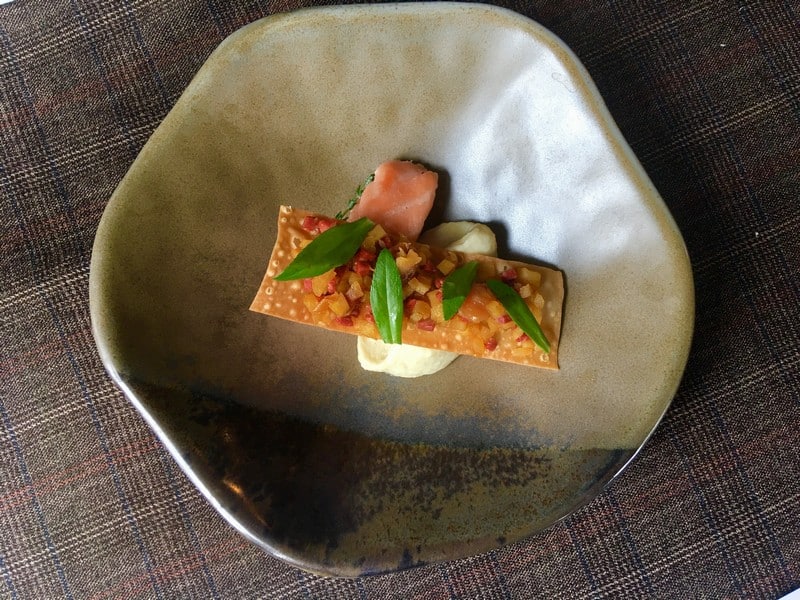 wanderlust tips salmonoid se hoan toan thay doi cam nhan cua ban ve ca hoi 6