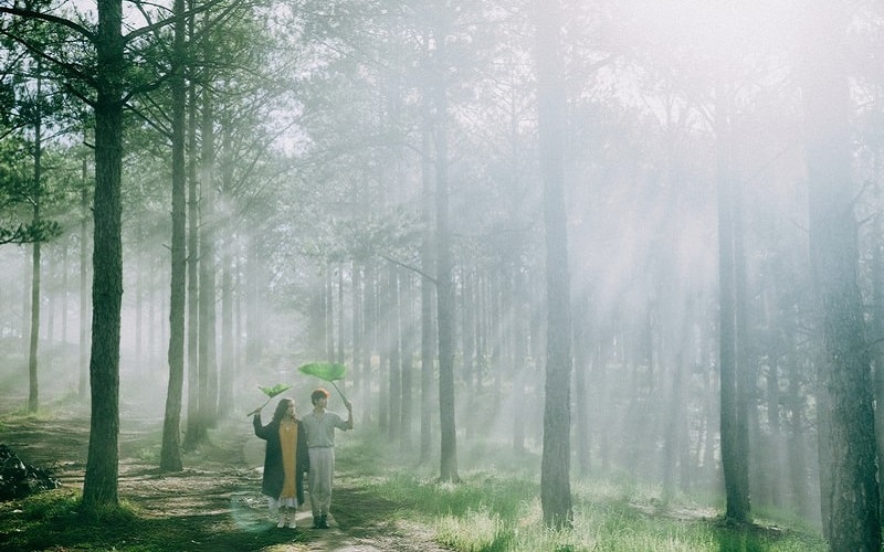 Đà Lạt đánh cắp trái tim của kẻ mộng mơ