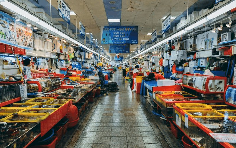 Chợ cá Jagalchi: Thiên đường hải sản tại Hàn Quốc Chợ cá Jagalchi: Thiên đường hải sản tại Hàn Quốc