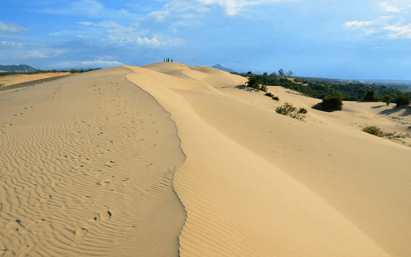 Khám phá những đồi cát đẹp mê hồn tại Việt Nam 5 Tạp chí Du lịch Wanderlust Tips | Khám phá những đồi cát đẹp mê hồn tại Việt Nam