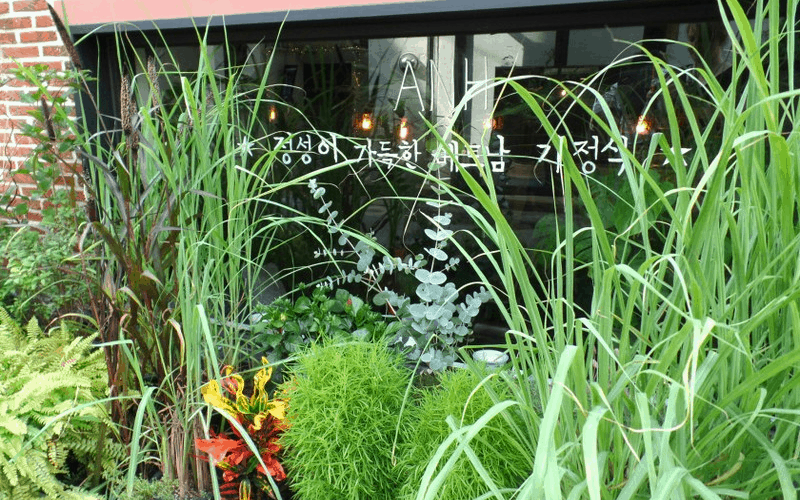 wanderlust tips thuong thuc am thuc viet giua long seoul00