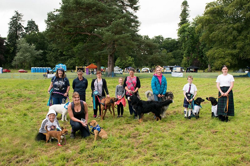 Tạp chí Du lịch Wanderlust Tips Những chú chó đáng yêu tại Lễ hội chó săn Golden Retriever, Scotland