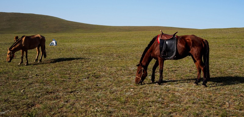 Wanderlust Tips Mongolian Horse Trek 06