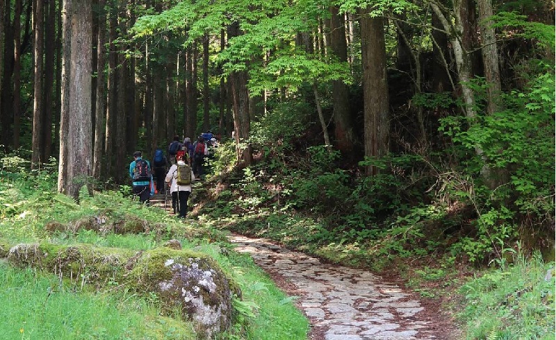 Nakasendo Hike 3 day: Tản bộ dọc tuyến đường cổ thời Edo 7 Wanderlust Tips Nakasendo Hike 3 day tan bo doc tuyen duong co thoi edo 1